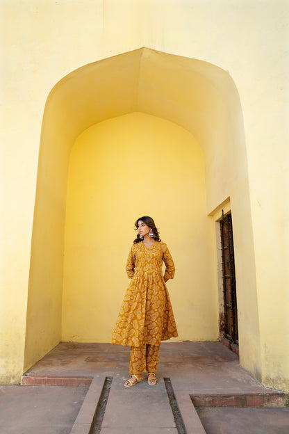 Pure Cotton Printed Kurta Set